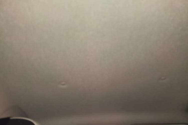 Used ORA Black Cat 2022 351 km Comfort Version Ternary Lithium Headliner