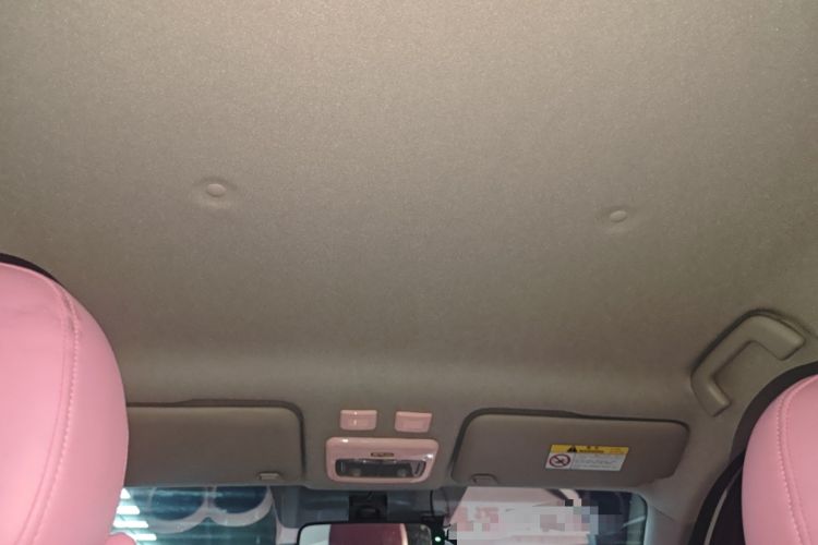 Used ORA Black Cat 2022 351 km Standard Version Ternary Lithium Headliner