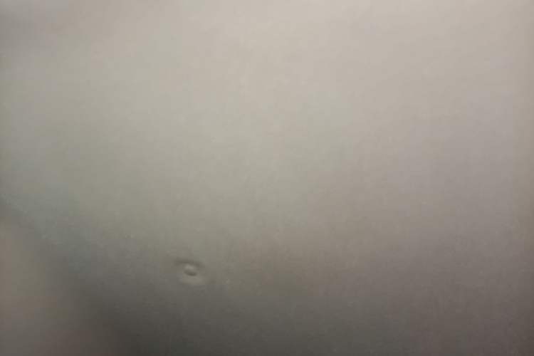 Used ORA Black Cat 2022 301km "Cute Pet" Version – Lithium Iron Phosphate Headliner