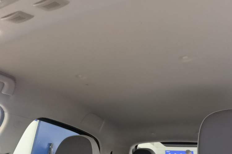 Used ORA Black Cat 2022 Updated Version 301 km Cute Pet Edition Lithium Iron Phosphate Headliner