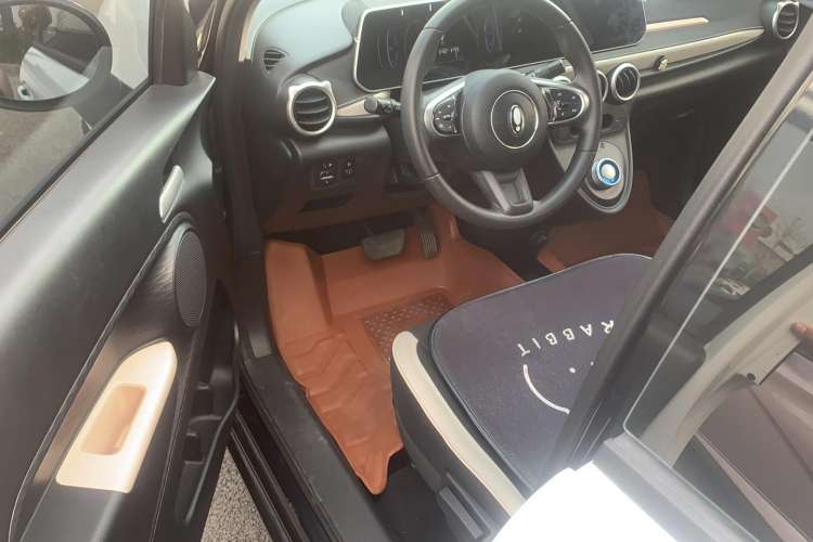 Used ORA Black Cat 2022 351 km Comfort Version Ternary Lithium Interior 2