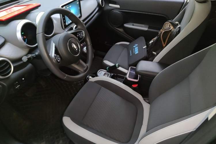 Used ORA Black Cat 2022 Updated Version 301 km Cute Pet Edition Lithium Iron Phosphate Left Front Seat
