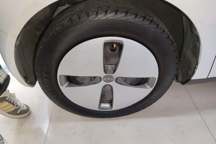 Used ORA Black Cat 2022 Updated Version 301 km Cute Pet Edition Lithium Iron Phosphate Left Front Wheel Hub