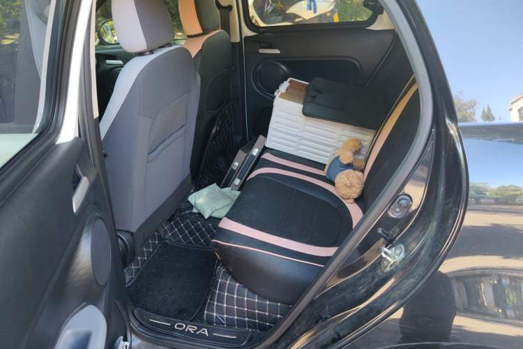Used ORA Black Cat 2022 301km Base Version Ternary Lithium Left Rear Seat