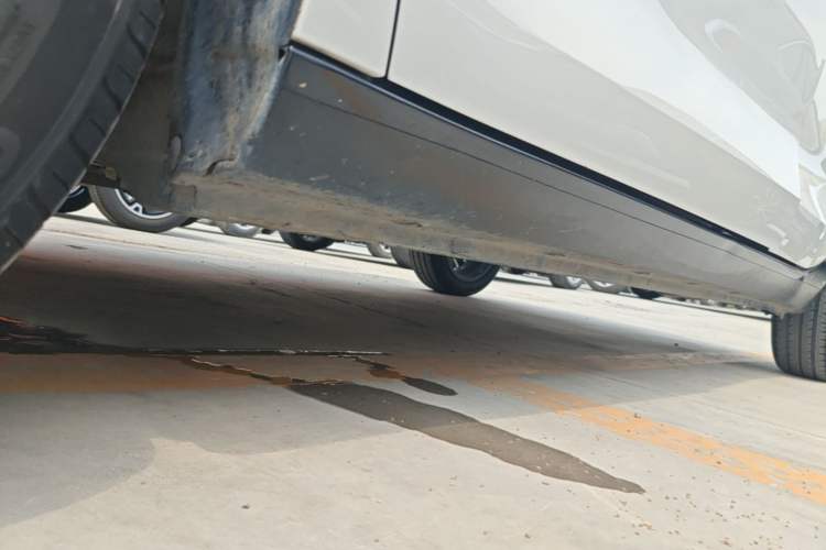 Used ORA Black Cat 2022 351 km Comfort Version Ternary Lithium Left Side Sill