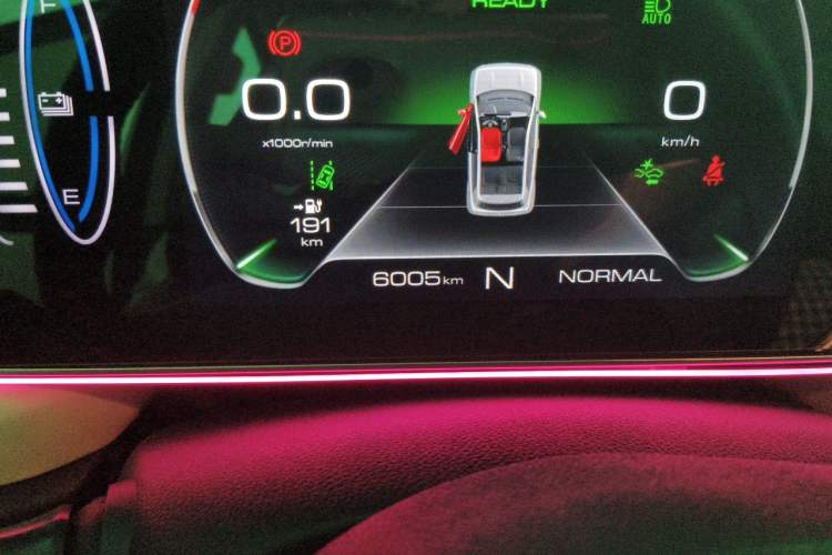 Used ORA Black Cat 2022 351 km Range Luxury Version Lithium-Ion Battery Odometer Close Up