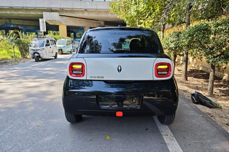 Used ORA Black Cat 2022 Updated Version 301 km Cute Pet Edition Lithium Iron Phosphate Rear