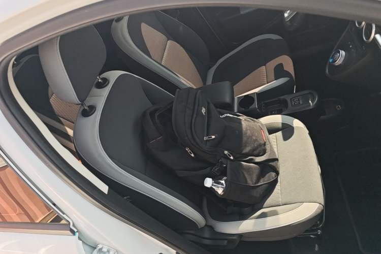 Used ORA Black Cat 2022 Updated Version 301 km Cute Pet Edition Lithium Iron Phosphate Right Front Seat