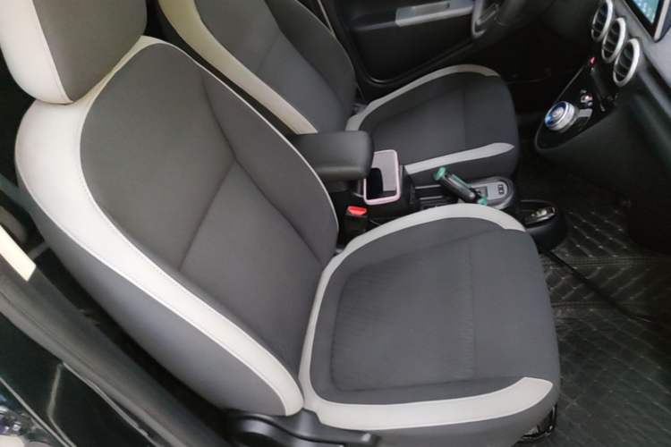 Used ORA Black Cat 2022 Updated Version 301 km Cute Pet Edition Lithium Iron Phosphate Right Front Seat