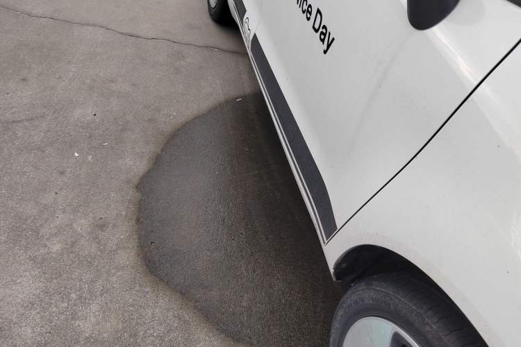 Used ORA Black Cat 2022 301km "Cute & Dynamic" Phosphate Iron Lithium Right Side Sill