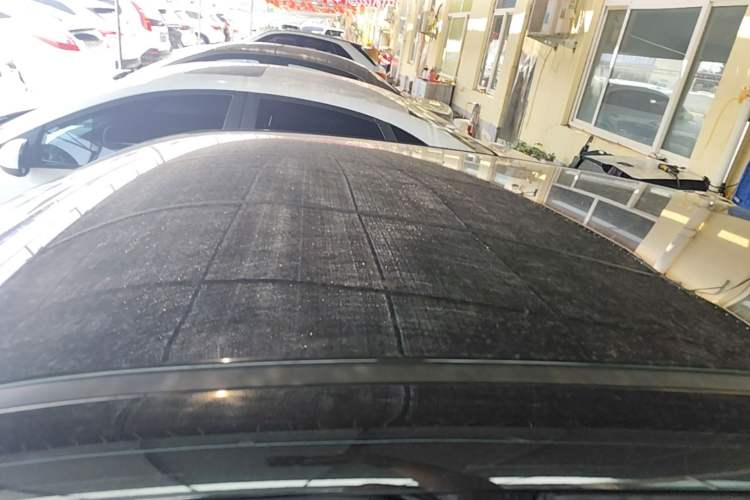 Used ORA Black Cat 2022 301km Base Version Ternary Lithium Roof