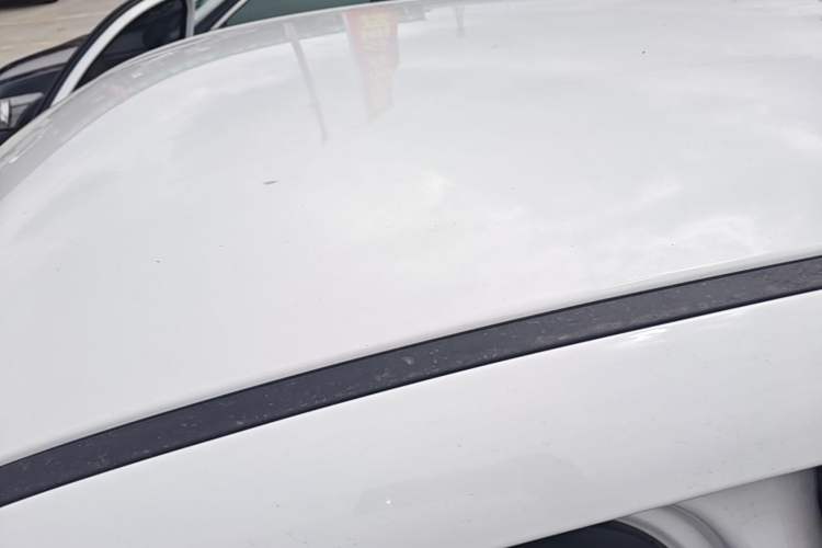 Used ORA Black Cat 2022 301km Base Version Ternary Lithium Roof
