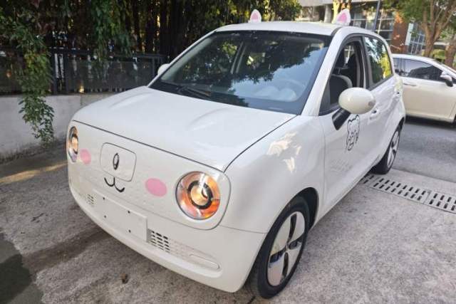 Used ORA Black Cat 2022 Updated Version 301 km Cute Pet Edition Lithium Iron Phosphate