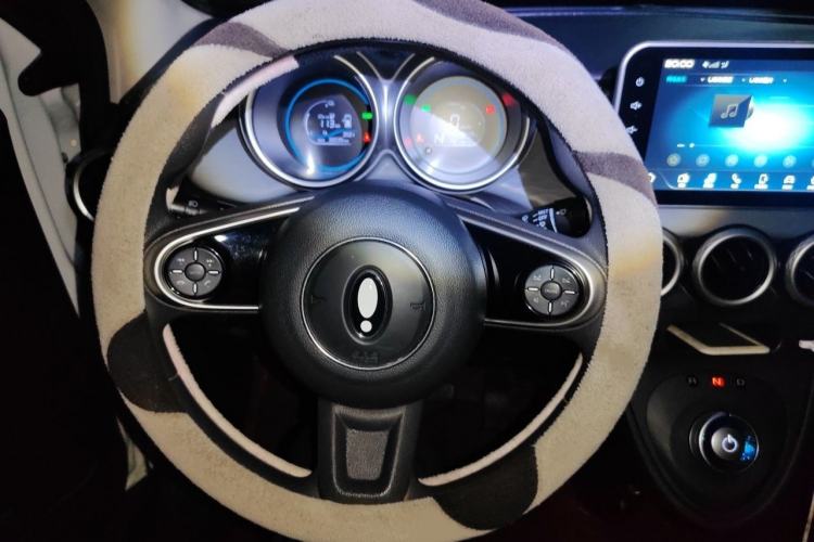 Used ORA Black Cat 2022 Updated Version 301 km Cute Pet Edition Lithium Iron Phosphate Steering Wheel