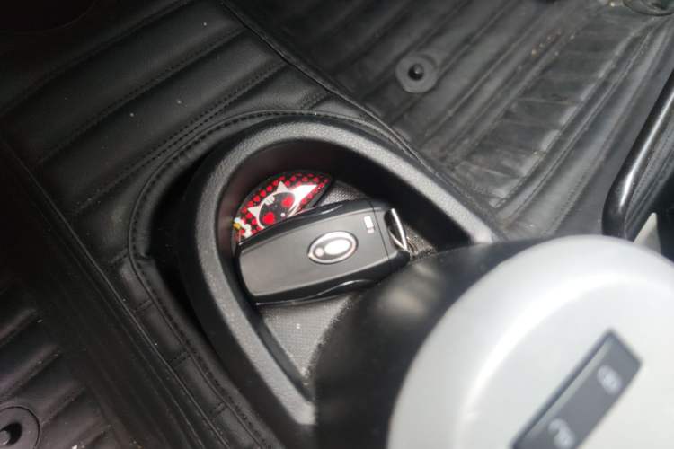 Used ORA Black Cat 2022 Updated Version 301 km Cute Pet Edition Lithium Iron Phosphate Vehicle Key
