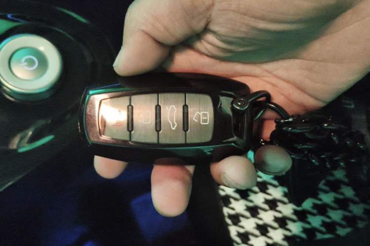 Used ORA Black Cat 2022 351 km Range Luxury Version Lithium-Ion Battery Vehicle Key
