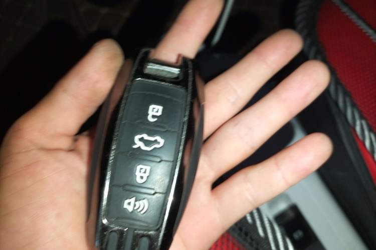 Used ORA Black Cat 2022 Updated Version 301 km Cute Pet Edition Lithium Iron Phosphate Vehicle Key