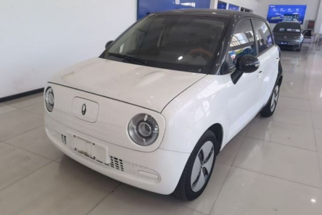 Used ORA Black Cat 2022 Updated Version 301 km Cute Pet Edition Lithium Iron Phosphate