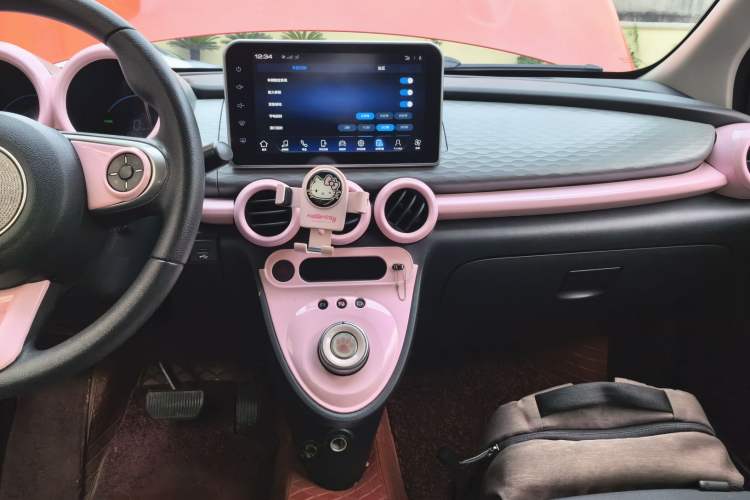 Used ORA Black Cat 2022 301km "Cute Pet" Version – Lithium Iron Phosphate Audio And AC Panel