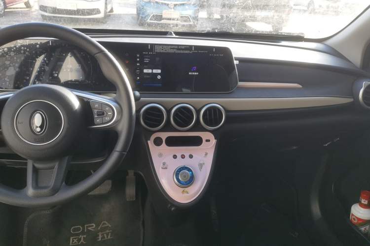 Used ORA Black Cat 2022 351 km Comfort Version Ternary Lithium Audio And AC Panel