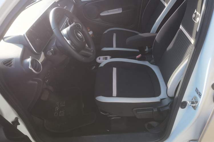 Used ORA Black Cat 2022 351 km Comfort Version Ternary Lithium Left Front Seat