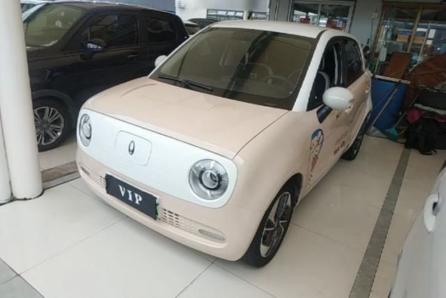 Used ORA Black Cat 2022 351 km Range Comfort Version Ternary Lithium