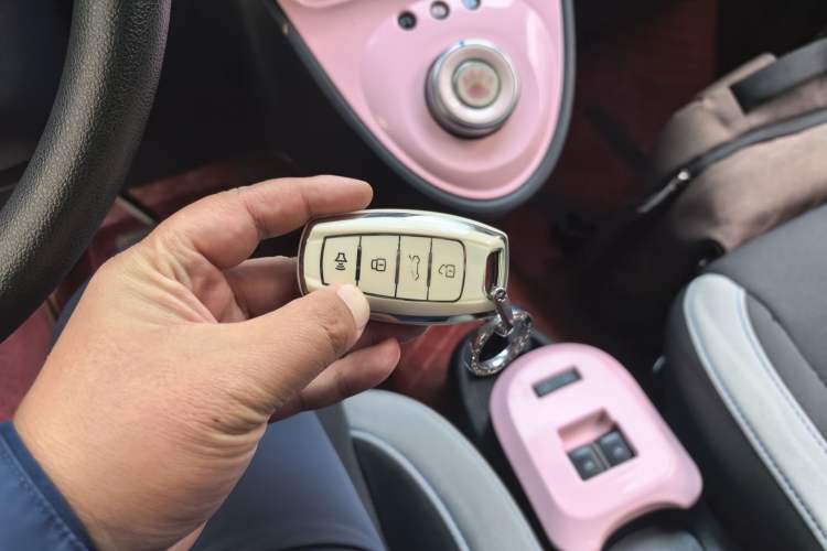 Used ORA Black Cat 2022 301km "Cute Pet" Version – Lithium Iron Phosphate Vehicle Key