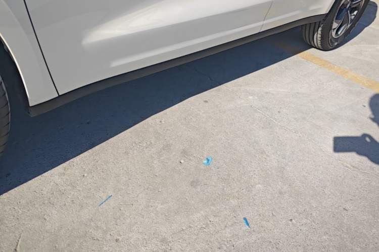 Used ORA Euler 5 2026 Model 1.5T Max Edition Left Side Sill