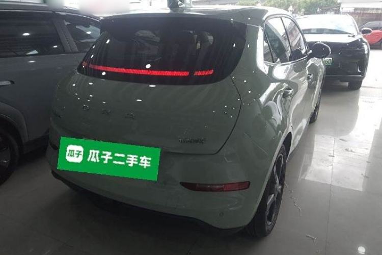 Used ORA Good Cat 2024 401 km Luxury Version Exterior 5
