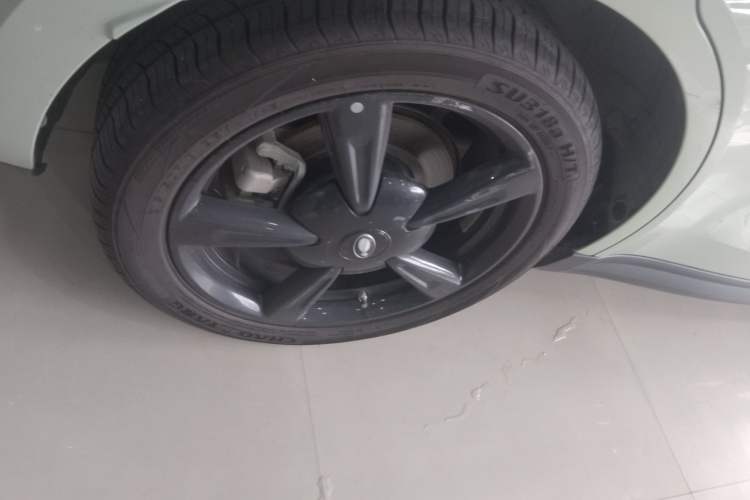 Used ORA Good Cat 2024 401 km Luxury Version Exterior 8