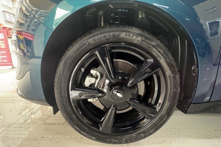 Used ORA Good Cat 2024 401 km Luxury Version Exterior 8