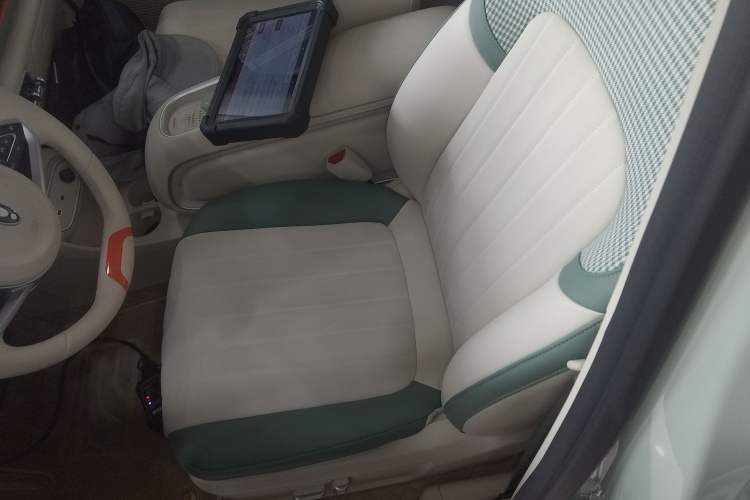 Used ORA Good Cat 2024 401 km Luxury Version Left Front Seat