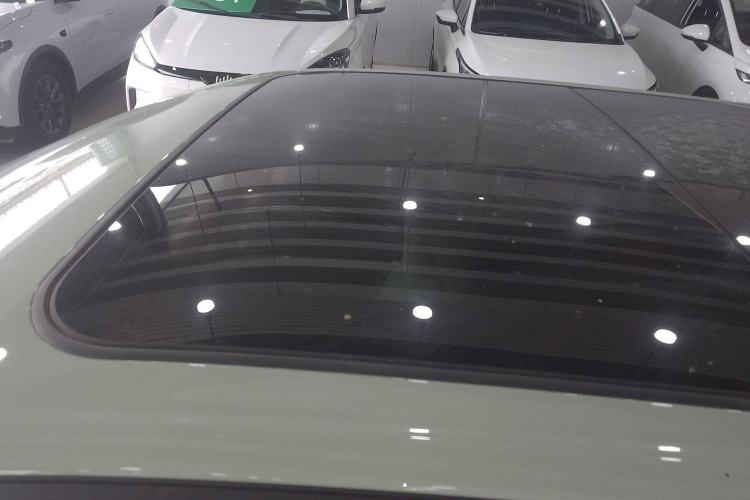 Used ORA Good Cat 2024 401 km Luxury Version Roof
