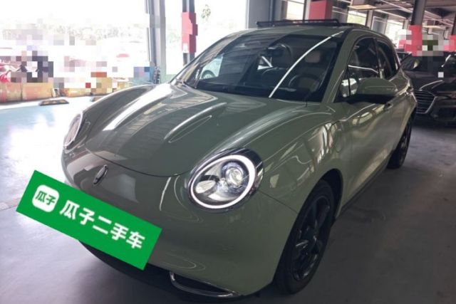 Used ORA Good Cat 2024 401 km Luxury Version