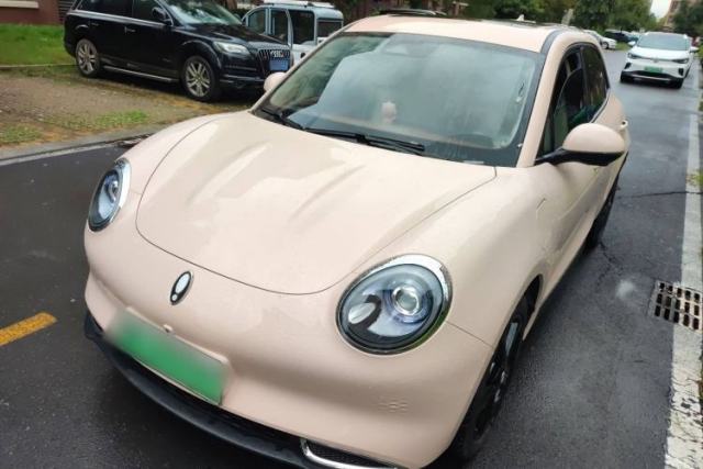 Used ORA Good Cat 2024 401 km Luxury Version