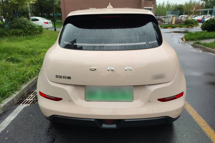 Used ORA Good Cat 2024 401 km Luxury Version Exterior 4