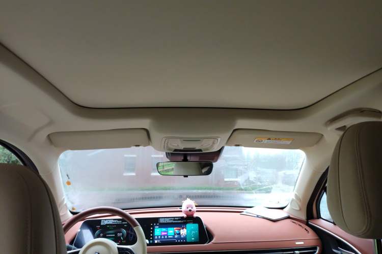 Used ORA Good Cat 2024 401 km Luxury Version Headliner