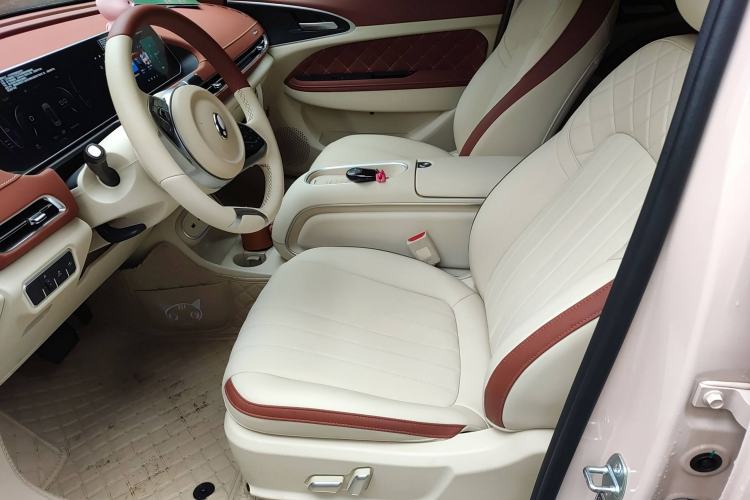 Used ORA Good Cat 2024 401 km Luxury Version Left Front Seat