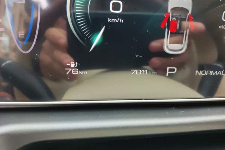 Used ORA Good Cat 2024 401 km Luxury Version Odometer Close Up