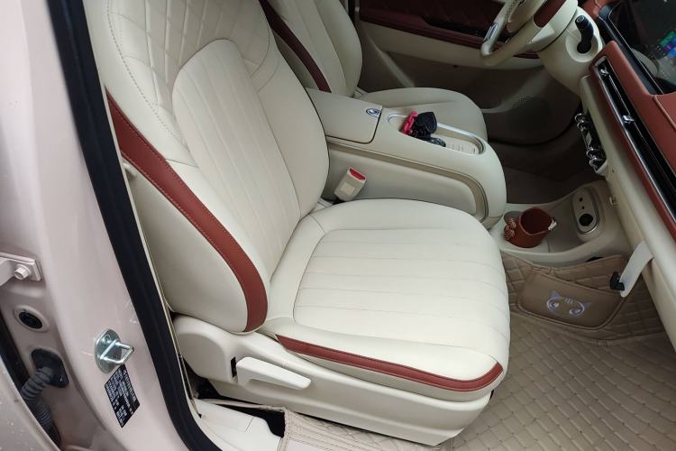 Used ORA Good Cat 2024 401 km Luxury Version Right Front Seat
