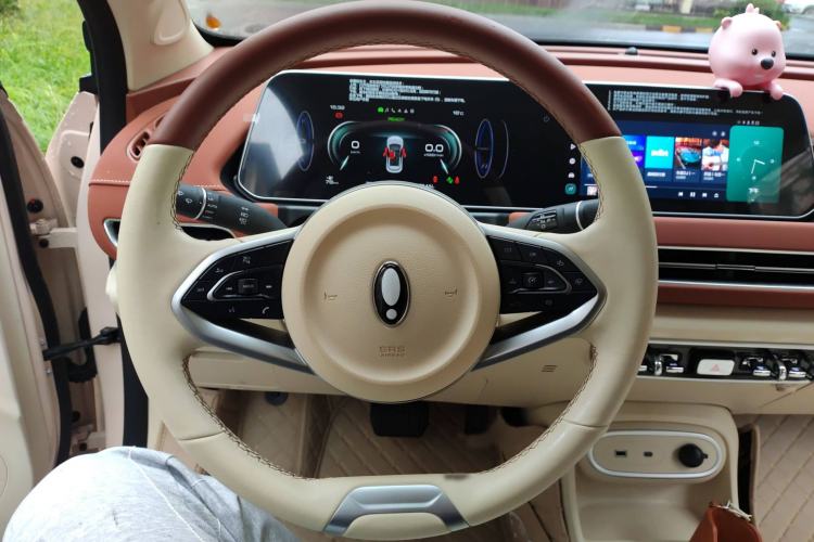 Used ORA Good Cat 2024 401 km Luxury Version Steering Wheel