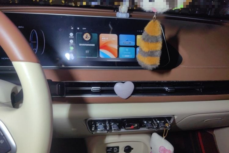 Used ORA Good Cat 2021 400km Standard Range Venus Edition Lithium-Ion Battery Audio And AC Panel