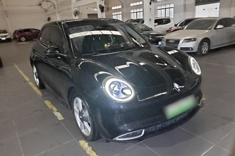 Used ORA Good Cat 2021 500km Long-Range Poseidon Edition Lithium-Ion Battery Exterior 1