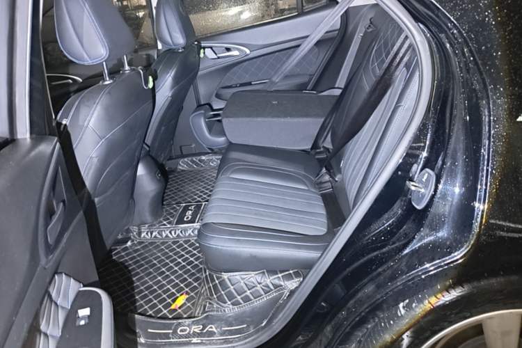 Used ORA Good Cat 2021 500km Long-Range Poseidon Edition Lithium-Ion Battery Left Rear Seat
