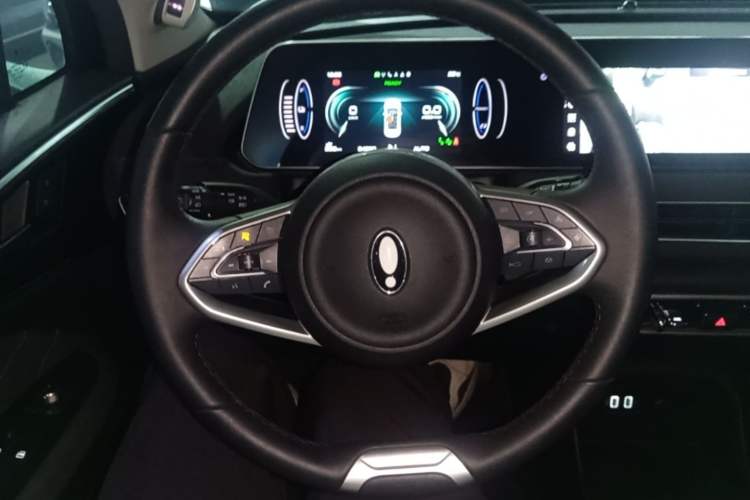 Used ORA Good Cat 2021 500km Long-Range Poseidon Edition Lithium-Ion Battery Steering Wheel