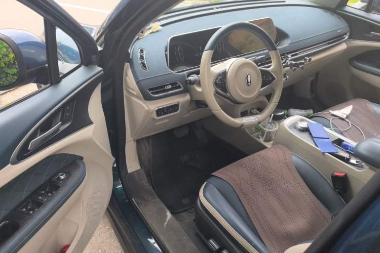 Used ORA Good Cat 2021 500km Long-Range Poseidon Edition Lithium-Ion Battery Driver Seat