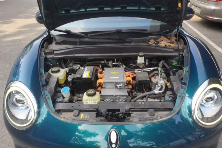 Used ORA Good Cat 2021 400km Standard Range Venus Edition Lithium Iron Phosphate Engine Bay