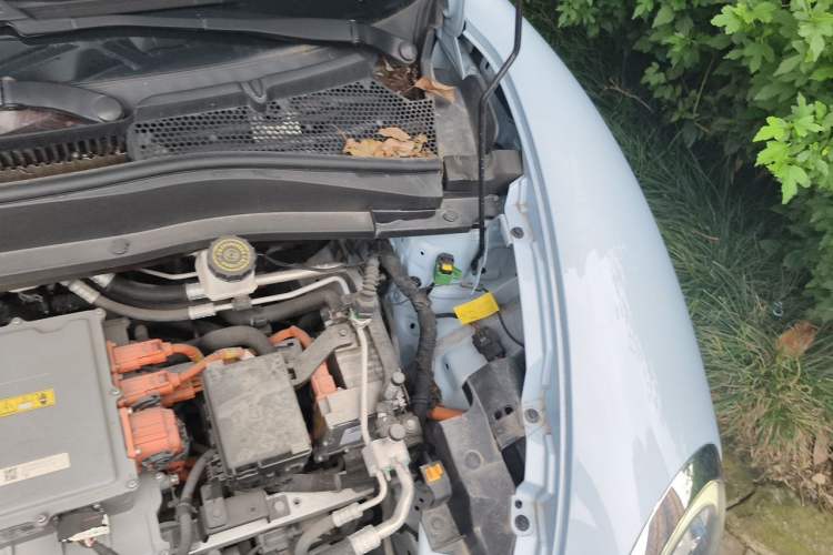 Used ORA Good Cat 2021 400km Standard Range Athena Edition Lithium Iron Phosphate Engine Bay Left