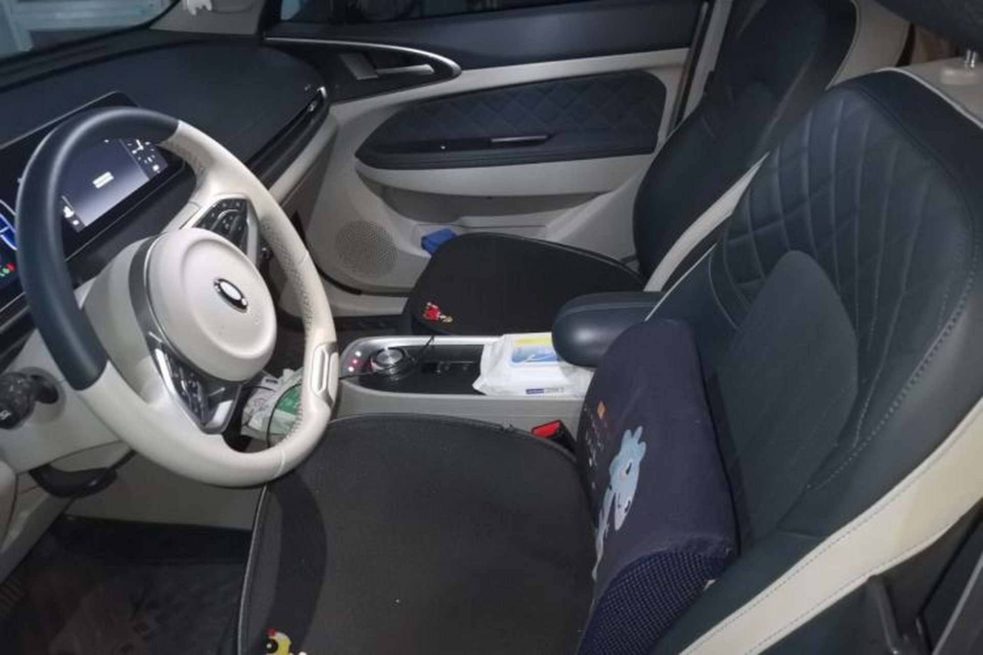Used ORA Good Cat 2021 400km Standard Range Athena Edition Lithium Iron Phosphate Left Front Seat