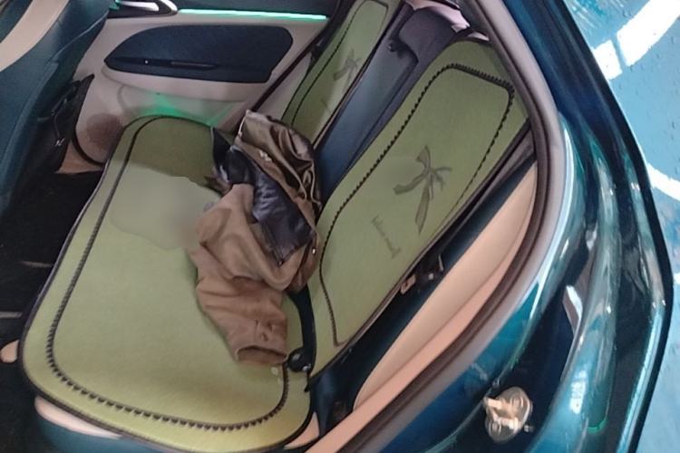 Used ORA Good Cat 2021 400km Standard Range Athena Edition Lithium-Ion Battery Left Rear Seat